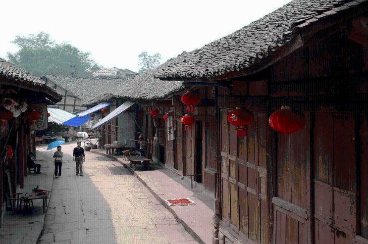 玄凤鹦鹉+可以放进塑料箱养吗？游戏画面